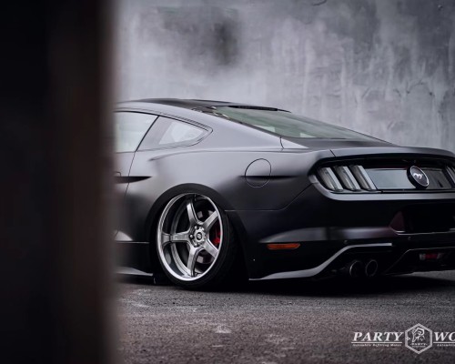 In the world of car tuning, the Ford Mustang is a shining star, and Stance Nation, meeting it, is the shining pen that lights up its brilliance.
