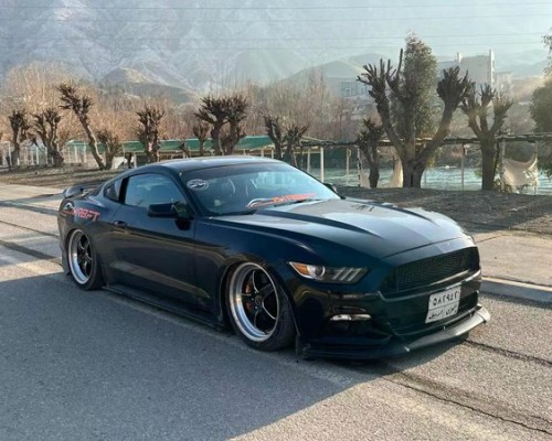 Unleashing the Wild Side: StanceNation Transformation of a Ford Mustang