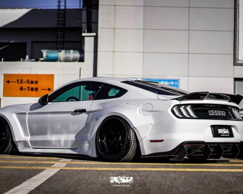 Embracing the Stance Culture: The Ford Mustang  StanceNation